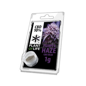 10% purple haze cbd hasj